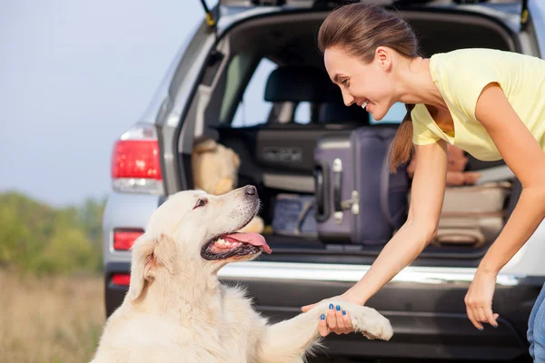 Attractive young girl and puppy near transport in park — Φωτογραφία Αρχείου