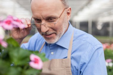 Experienced old florist in process of his work