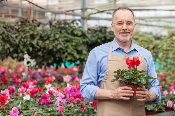 Alegre florista de edad con gafas en el centro del jardín — Foto de Stock