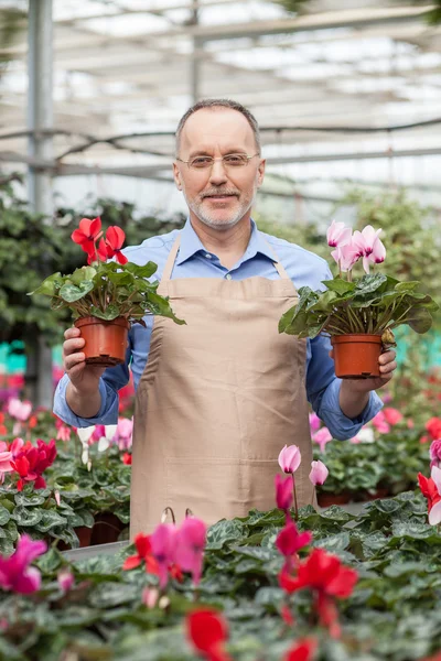 Cheerful senior shop assistant at garden center — Stockfoto