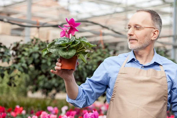Trabajador experto en jardinería en vivero de plantas — Foto de Stock