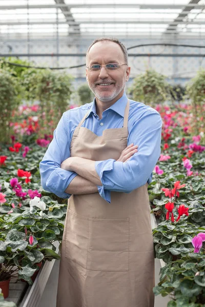 Jardinero experimentado está disfrutando de su trabajo — Foto de Stock