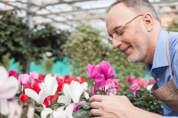Cheerful old garden worker is working with joy — Stockfoto