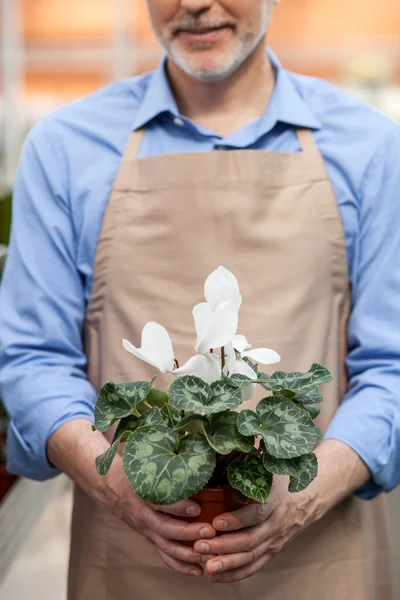 Skillful senior florist is working at garden center — Stockfoto