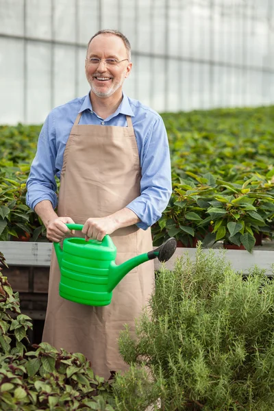 Skillful old florist is watering plants at garden center — Stock Photo, Image