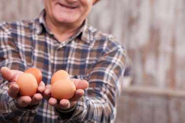Cheerful mature farm worker with organic products