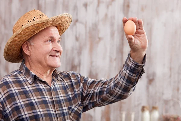 Travailleur agricole expérimenté avec des produits biologiques — Photo