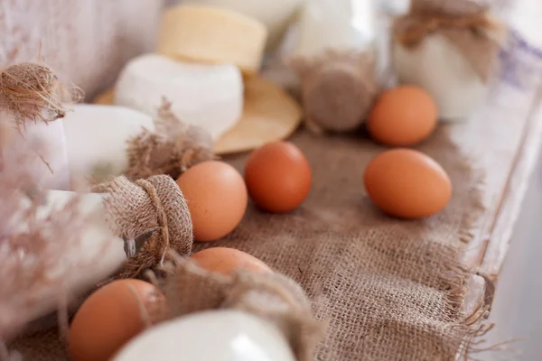 Eat only dairy products and be happy