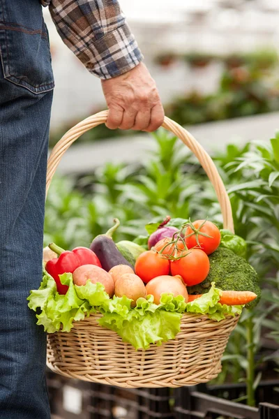 Old man with healthy food in greenhouse — Φωτογραφία Αρχείου