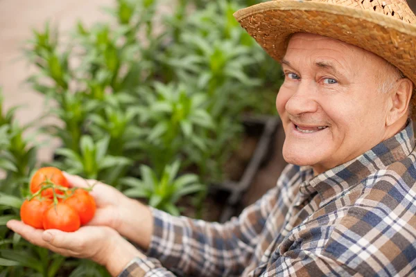 Trabajador masculino hábil está presentando vegetal saludable — Foto de Stock