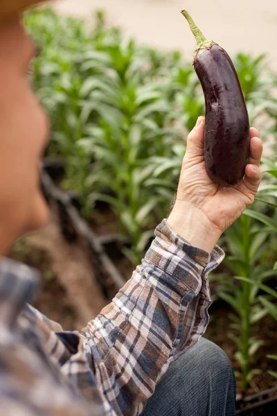 Vieux travailleur masculin qualifié est porteur de légumes — Photo