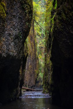 Sadece bak ve bu güzel doğanın tadını çıkarın