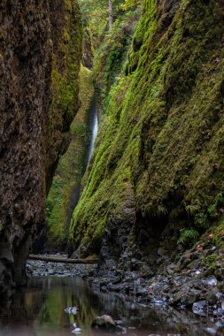 Güzel dağlar çevrili devler gibi