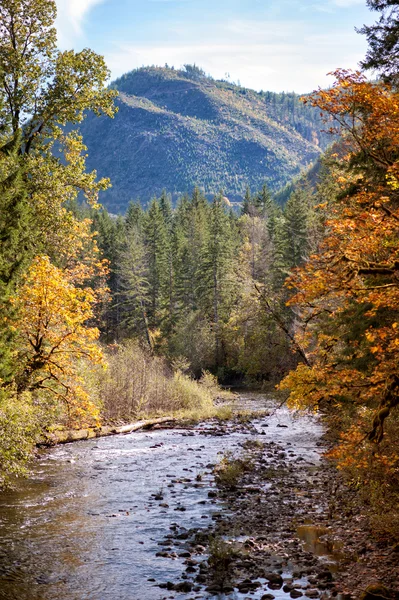 Se på naturens vakre gave. – stockfoto