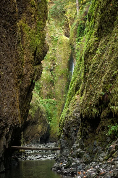 Superbes hautes collines avec de l'eau au milieu — Photo