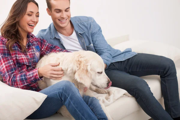 Beautiful young married couple with cute puppy — Stock fotografie