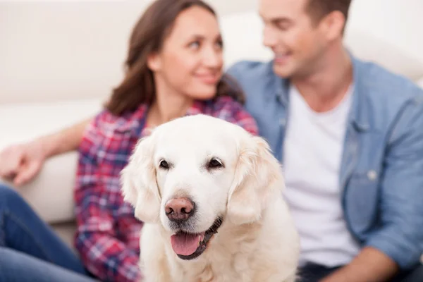 Attractive husband and wife with cute pet — Stock Photo, Image