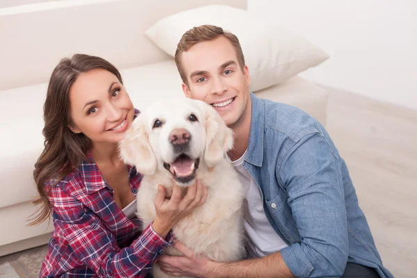 Atraente jovem casal com animal de estimação bonito — Fotografia de Stock