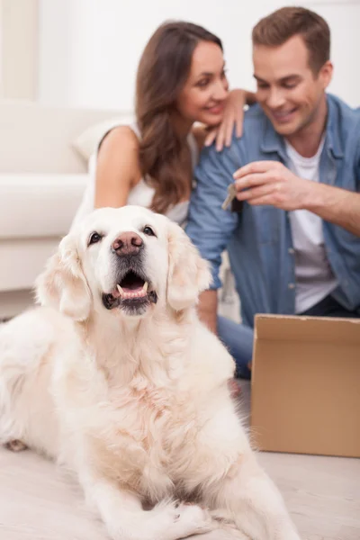 Söta gifta män förbereder sig för borttagning — Stockfoto