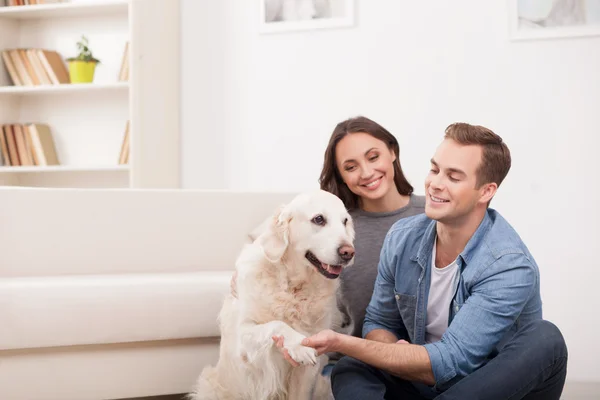 Alegre familia está jugando con bastante cachorro — Foto de Stock