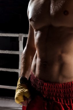 Neşeli erkek eğitim salonunda savaşçıdır