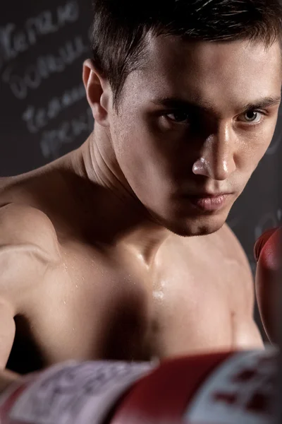 Bonito jovem campeão de boxe está treinando duro — Fotografia de Stock