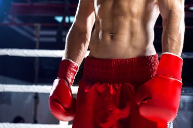 Skillful boxing champion is going for sports