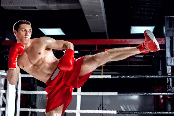 Умілий чемпіон боксу демонструє свої навички — стокове фото