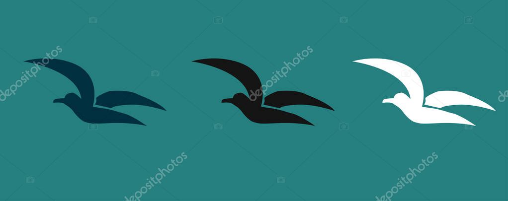 Seagull logo icon designs vector. Gull for your journal article or encyclopedia. Element for your design.