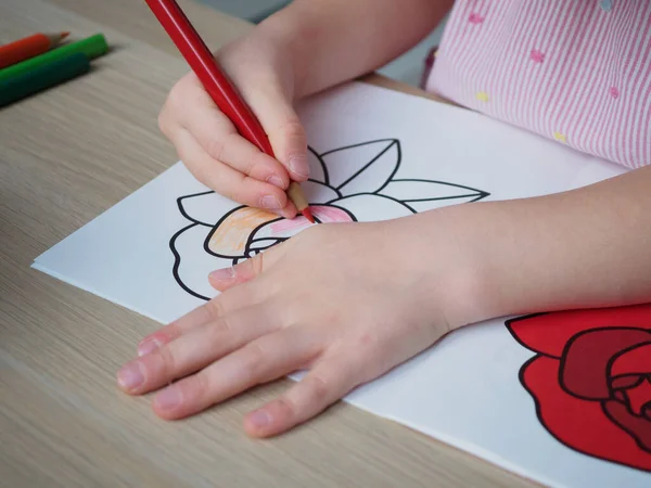 Четырехлетняя девочка рисует розу разноцветными карандашами. Руки девочек закрываются. — стоковое фото