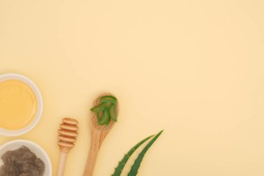 Ahşap bir kaşıkta aloe vera, cam bir kasede bal, ev yapımı maske için maske ya da yüz, vücut, saç için fırça. Cilt bakımı için spa tedavisi. Boşluğu kopyala, düz yatay, üst