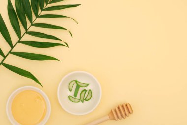 Aloe jeli yeşil taze aloevera yaprağı ve ahşap masa arkasında izole edilmiş cam kasede saf bal. Tıbbi bitki, sağlıklı cilt bakımı ve spa konsepti. Üst Manzara. Düz yatıyordu. Aloe Vera
