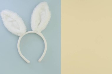 Tavşan kulakları iki tonluk arka planda ve mesaj için yer var. Paskalya Tavşanı 'nın Paskalya sembolü