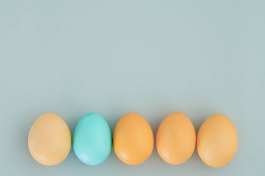 Sarı yumurtalı yaratıcı Paskalya arkaplanı ve açık mavi arka planda bir mavi. Metin için boşluk, düz yatak, üst manzara. Paskalya konsepti