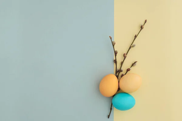 Minimalistic easter background with easter eggs and pussy willow sprigs laid out in the shape of a bouquet on a yellow-blue pastel background with copy space, top view, flat lay