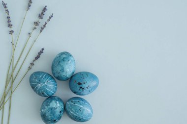 Gece gökyüzünün mavi renginde paskalya yumurtaları mavi arka planda bir demet lavanta ve metin için yer var. Üst manzara, düz uzanma