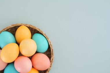 Renkli paskalya yumurtaları. Pastel tonlarda. Mavi bir arka planda mavi bir sepetin içinde.