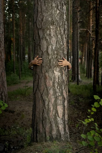 Female hands hugging a tree trunk in the forest