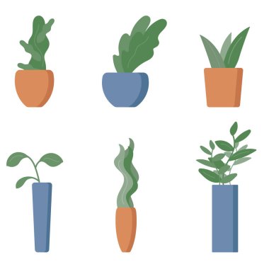 Bir dizi saksı. 6 çeşit ev bitkisi vardır..  