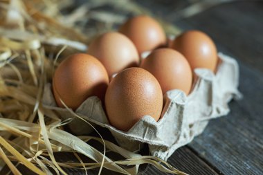 Tavuk yumurtası ahşap yüzeye