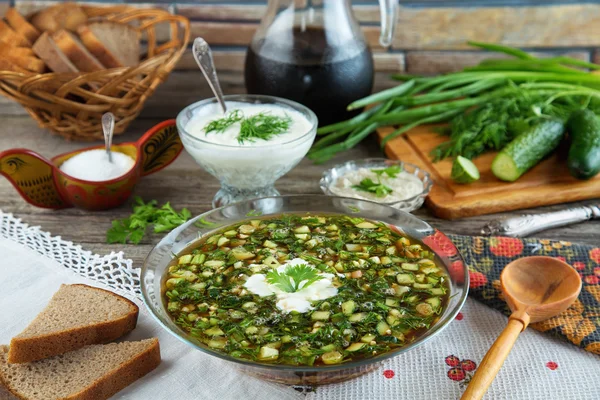 Geleneksel yaz soğuk çorba okroshka Kvas ile