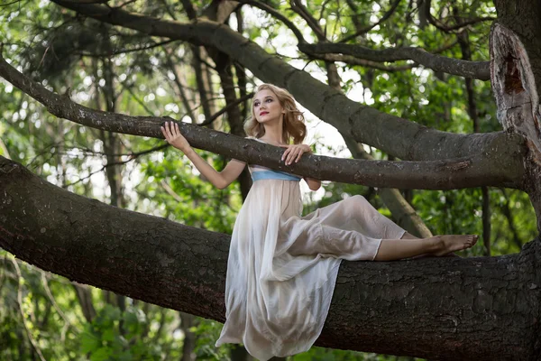 Молодая красивая девушка сидит на большом дереве в летнем парке — стоковое фото