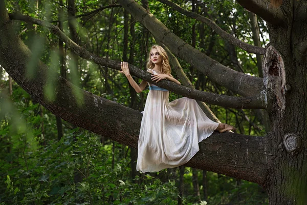 Krásná dívka sedící na velký strom v létě parku — Stock fotografie