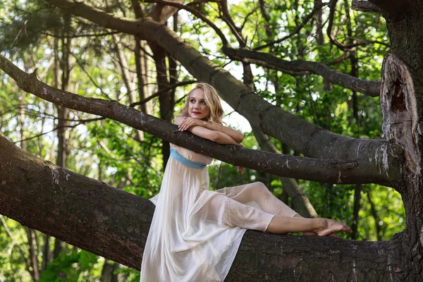 Young beautiful girl sitting on a big tree in summer park — Stock Photo, Image