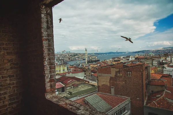 Ventana con vista a Estambul, Bósforo y gaviotas —  Fotos de Stock