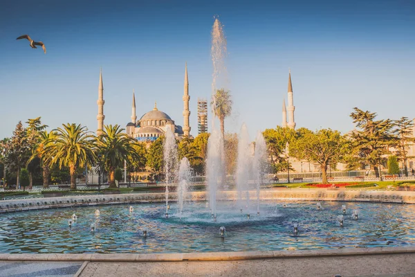 Mosquée Sultan Ahmed et vue sur la fontaine depuis le parc Sultanahmet à Istanbul, Turquie — Photo