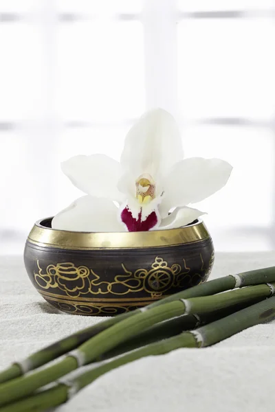 Taça de canto, Ayurveda, Orquídea — Fotografia de Stock