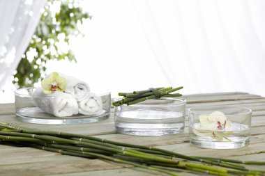 Spa gereksinimleri