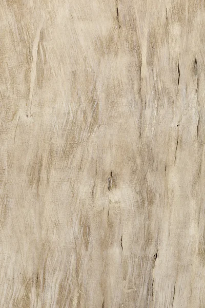 Staré omšelé dřevěné desce — Stock fotografie