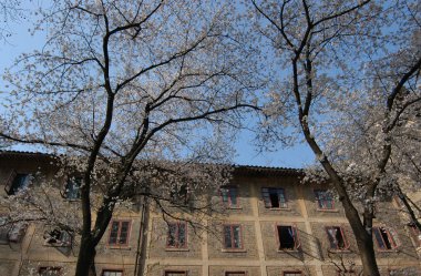 Wuhan Üniversitesi Hubei Çin Çin Halk Cumhuriyeti Eğitim Bakanlığı